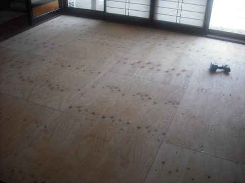 DSCF0572