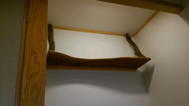 神棚②　ケヤキ