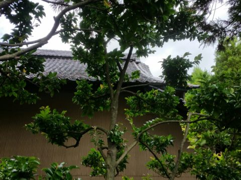 お寺様の屋根と窓改修工事♪