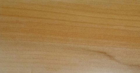 木のおはなし♪