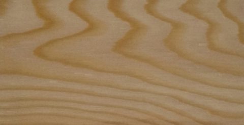 木のおはなし♪